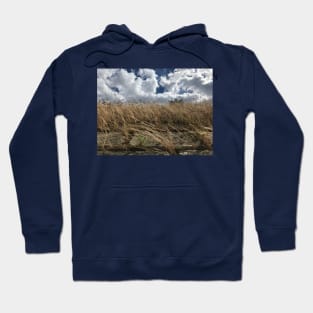 Believe, hope and be happy. Picturesque cumulus cloud scenery with windy bush plants Hoodie